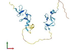 Protein Structure (PS) image for Cysteine and Glycine-Rich Protein 3 (CSRP3) (AA 1-194) protein (His tag) (ABIN7546809)