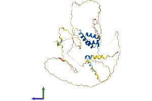 AlphaFold protein structure predicition of Human Recombinant HOXD3 Protein, UniprotID P31249