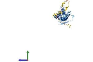 Protein Structure (PS) image for Claudin 14 (CLDN14) (AA 1-239) protein (His tag) (ABIN7546593)
