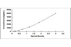 Typical standard curve (TNFAIP3 ELISA 试剂盒)
