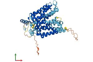 Protein Structure (PS) image for Solute Carrier Family 2 (Facilitated Glucose Transporter) Member 8 (SLC2A8) (AA 1-477) protein (His tag) (ABIN7548114)