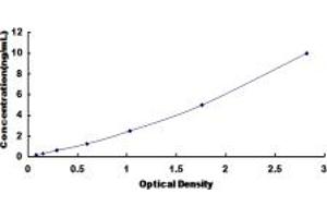 Typical standard curve (HEMGN ELISA 试剂盒)