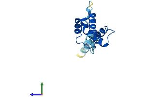 Protein Structure (PS) image for CDKN2A Interacting Protein N-Terminal Like (CDKN2AIPNL) (AA 1-116) protein (His tag) (ABIN7560895)