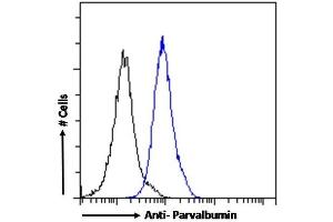 (ABIN185412) Flow cytometric analysis of paraformaldehyde fixed Kelly cells (blue line), permeabilized with 0.