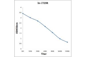 Antigen: 0. (Myosin VIIA 抗体  (AA 851-950))