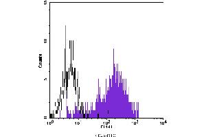 Flow Cytometry (FACS) image for anti-Interleukin 2 Receptor, alpha (IL2RA) antibody (FITC) (ABIN2144546) (CD25 抗体  (FITC))