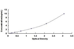 Typical standard curve (WNT4 ELISA 试剂盒)