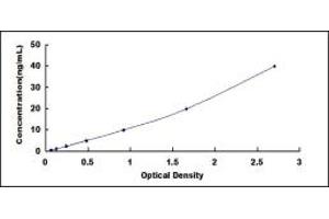 Typical standard curve (SLC6A3 ELISA 试剂盒)