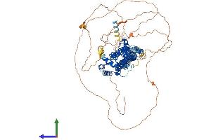 Protein Structure (PS) image for rho GTPase Activating Protein 44 (ARHGAP44) (AA 1-818) protein (His tag) (ABIN7555231)