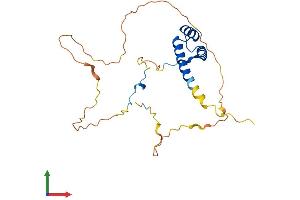 Protein Structure (PS) image for Homeobox A6 (HOXA6) (AA 1-232) protein (His tag) (ABIN7562774)