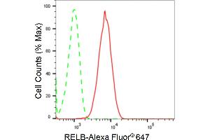 Flow cytometric analysis of RELB expression in C2C12 cells using RELB antibody (ABIN7800804), 1:2,000). (Recombinant RELB 抗体)
