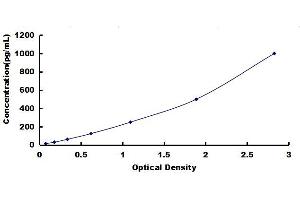 Typical standard curve (CCL19 ELISA 试剂盒)