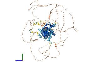 AlphaFold protein structure predicition of Human Recombinant SENP7 Protein, UniprotID Q9BQF6 (SENP7 Protein (AA 1-1050) (His tag))