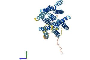 AlphaFold protein structure predicition of Human Recombinant XKR8 Protein, UniprotID Q9H6D3