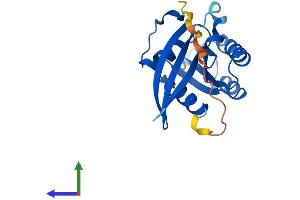 Protein Structure (PS) image for RAB22A, Member RAS Oncogene Family (RAB22A) (AA 1-194) protein (His tag) (ABIN7563159)