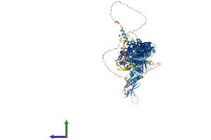Protein Structure (PS) image for Ca++-Dependent Secretion Activator (CADPS) (AA 1-1355) protein (His tag) (ABIN7564233)
