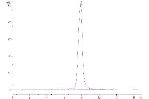 Size-exclusion chromatography-High Pressure Liquid Chromatography (SEC-HPLC) image for Angiopoietin-Like 2 (ANGPTL2) (AA 260-493) protein (His-Avi Tag,Biotin) (ABIN7273837)
