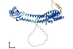 Protein Structure (PS) image for ATPase, H+ Transporting, Lysosomal 42kDa, V1 Subunit C2 (ATP6V1C2) (AA 1-427) protein (His tag) (ABIN7545025)