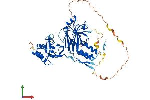 Protein Structure (PS) image for SMAD, Mothers Against DPP Homolog 1 (SMAD1) (AA 1-465) protein (His tag) (ABIN7546131)