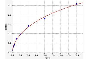 Typical standard curve (KATNB1 ELISA 试剂盒)
