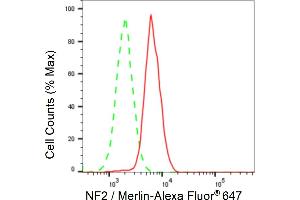 Flow cytometric analysis of NF2 / Merlin expression in HAP-1 cells using NF2 / Merlin antibody (ABIN7799579), 1:2,000). (Recombinant Merlin 抗体)