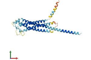 Protein Structure (PS) image for Glycoprotein M6A (GPM6A) (AA 1-278) protein (His tag) (ABIN7563188)