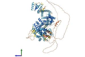 Protein Structure (PS) image for Ras Protein-Specific Guanine Nucleotide-Releasing Factor 2 (RASGRF2) (AA 1-1237) protein (His tag) (ABIN7555166)