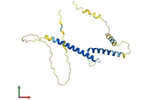 Protein Structure (PS) image for Basic Helix-Loop-Helix Family, Member A15 (BHLHA15) (AA 1-189) protein (His tag) (ABIN7552802)