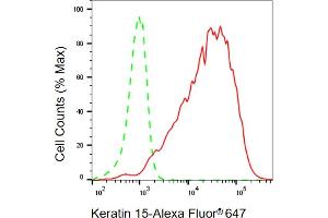 Flow cytometric analysis of Keratin 15 expression in HaCaT cells using Keratin 15 antibody (ABIN7799169), 1:2,000).