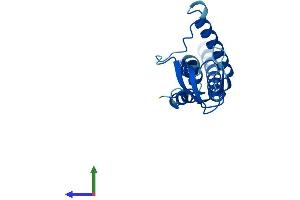 Protein Structure (PS) image for GINS Complex Subunit 1 (Psf1 Homolog) (GINS1) (AA 1-196) protein (His tag) (ABIN7560769)