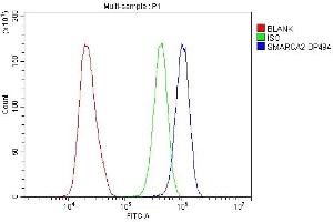 Flow Cytometry analysis of HeLa cells using anti-SMARCA2 antibody (ABIN7600367).