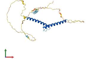 Protein Structure (PS) image for Achaete-Scute Complex Homolog 2 (ASCL2) (AA 1-263) protein (His tag) (ABIN7562381)