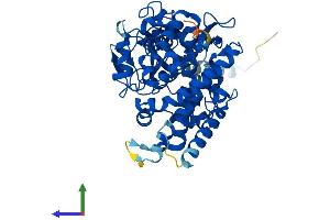 Protein Structure (PS) image for Cytochrome P450, Family 3, Subfamily A, Polypeptide 5 (CYP3A5) (AA 1-502) protein (His tag) (ABIN7546716)