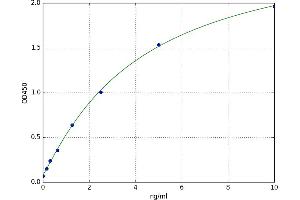 A typical standard curve (COLEC10 ELISA 试剂盒)