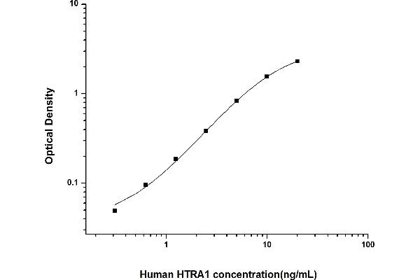 HTRA1 ELISA 试剂盒