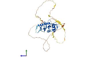 AlphaFold protein structure predicition of Human Recombinant ATAT1 Protein, UniprotID Q5SQI0