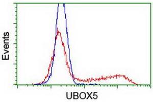 Image no. 2 for anti-U-Box Domain Containing 5 (UBOX5) (AA 1-130), (AA 419-487) antibody (ABIN1490571) (UBOX5 抗体  (AA 1-130, AA 419-487))