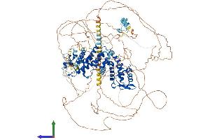 AlphaFold protein structure predicition of Human Recombinant RC3H2 Protein, UniprotID Q9HBD1 (RC3H2 Protein (AA 1-1191) (His tag))
