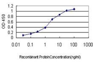 Detection limit for recombinant GST tagged FLJ23834 is approximately 0. (CDHR3 抗体  (AA 776-885))