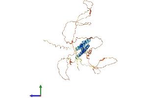 Protein Structure (PS) image for Basic Helix-Loop-Helix Family, Member E41 (BHLHE41) (AA 1-482) protein (His tag) (ABIN7552637)