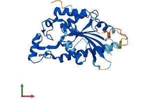 AlphaFold protein structure predicition of Human Recombinant TIGAR Protein, UniprotID Q9NQ88