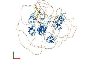 Protein Structure (PS) image for Membrane Associated Guanylate Kinase, WW and PDZ Domain Containing 1 (MAGI1) (AA 1-1491) protein (His tag) (ABIN7554460)