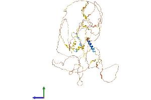 Protein Structure (PS) image for Zinc Finger Protein 750 (ZNF750) (AA 1-723) protein (His tag) (ABIN7545845)