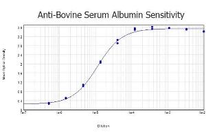 ELISA results of purified Rabbit anti-Bovine Serum Albumin Antibody tested against Bovine Serum Albumin. (Albumin 抗体)