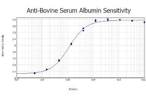 ELISA results of purified Rabbit anti-Bovine Serum Albumin Antibody tested against Bovine Serum Albumin. (BSA 抗体)