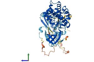 AlphaFold protein structure predicition of Human Recombinant AKT1 Protein, UniprotID P31749 (AKT1 Protein (AA 1-480) (His tag))