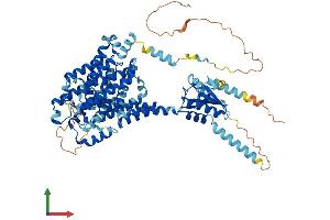 Protein Structure (PS) image for Solute Carrier Family 26 (Sulfate Transporter), Member 2 (SLC26A2) (AA 1-739) protein (His tag) (ABIN7557778)