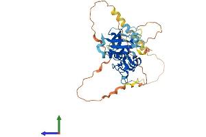 Protein Structure (PS) image for Polycomb Group Ring Finger 6 (PCGF6) (AA 1-350) protein (His tag) (ABIN7550581)