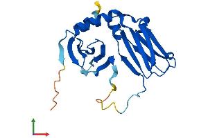 AlphaFold protein structure predicition of Mouse Recombinant Dpcd Protein, UniprotID Q8BPA8 (DPCD Protein (AA 1-203) (His tag))
