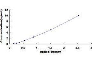 Duffy Blood Group, Chemokine Receptor (DARC) ELISA Kit